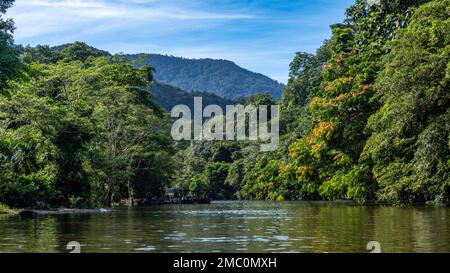 Fluss Durch Den Gunung Mulu Nationalpark Stockfoto