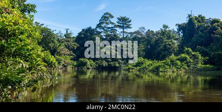 Fluss Durch Den Gunung Mulu Nationalpark Stockfoto