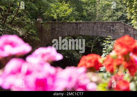 Ausflugsziel Bodetal im Harz-Gebirge Sachsen-Anhalt Stockfoto