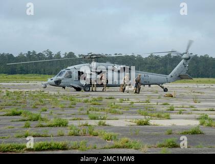 Mitarbeiter der Mobile Einheit für die Entsorgung explosiver Stoffe (EODMU) 12 treffen im Marine Corps Outlying Field Oak Grove in North Carolina ein, um eine Expeditionsmessung zur Reparatur von Schäden am Flugplatz mit Seabees des Mobile Construction Battalion der Marine (NMCB) 1 und der NMCB 11 vom Juni 23 durchzuführen. Zweck dieser Veranstaltung war es, die Integration der Flotte und der NECC-Streitkräfte zu demonstrieren und das aktualisierte EXR-ADR Tactical Memorandum (Offizielles Marinefoto von Jeffrey Pierce) zu validieren. Stockfoto