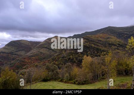 Herbstfarben in Serra do Courel, Lugo, Spanien Stockfoto