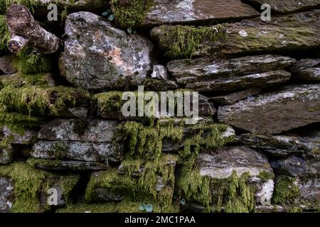 Alte Steinmauer mit grünem Moos Stockfoto