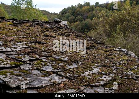 Altes traditionelles Schieferdach mit Moos in Serra do Courel, Lugo, Spanien Stockfoto