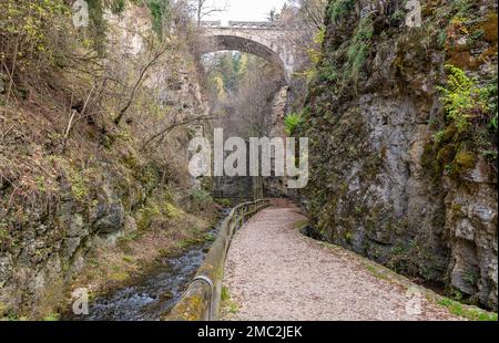 Canyon Rio Sass - Fondo (Borgo d'Anaunia) - Non Valley - Trentino Alto Adige - Norditalien: Ein malerischer Ausflug zwischen engen Felswänden. Stockfoto