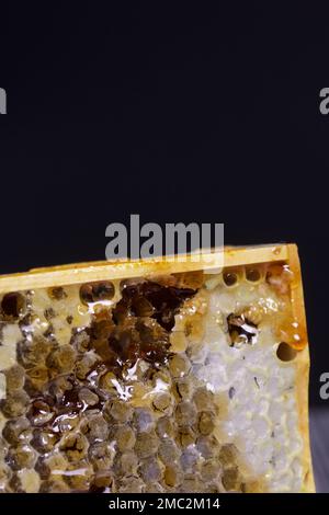 Honig in Waben in einem Holzrahmen. Auf schwarzen Pinienbrettern. Auf schwarzem Hintergrund. Nahaufnahme. Stockfoto