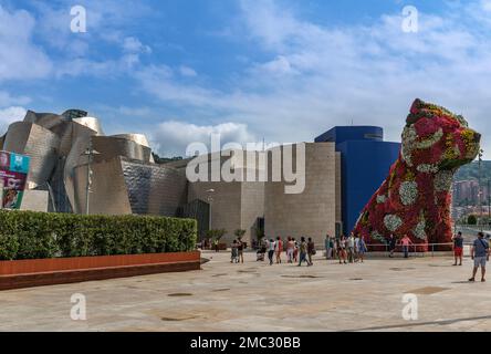 Guggenheim Museum Für Moderne Kunst, Bilbao, Baskenland Stockfoto