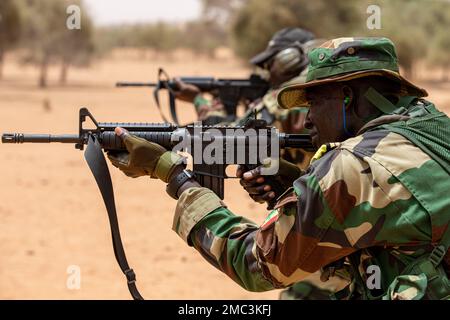 Ein Soldat der senegalesischen Streitkräfte (SAF) übt während des Afrikanischen Löwen 22 in Dodji, Senegal, am 24. Juni 2022 einen M-4-Karabiner zu feuern. Der afrikanische Löwe 22 ist in den USA Die größte gemeinsame jährliche Übung des Kommandos Afrika, die von Marokko, Ghana, Senegal und Tunesien veranstaltet wird, vom 6. Bis 30. Juni. Mehr als 7.500 Teilnehmer aus 28 Ländern und der NATO trainieren zusammen mit dem Schwerpunkt auf der Verbesserung der Bereitschaft für US-Streitkräfte und Partner-Nationalstreitkräfte. AL22 ist eine gemeinsame, bereichsübergreifende, mehrkomponentige und multinationale Übung, bei der ein breites Spektrum an Missionskapazitäten eingesetzt wird, um die Interoperabilität zwischen Teilnehmern und Set zu stärken Stockfoto