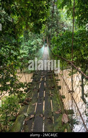 Seil und hölzerne Fußgängerbrücke über dem Fluss - Danum Valley, Borneo Stockfoto