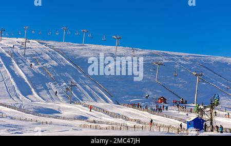 Lecht Ski Centre Cairngorms National Park Schottland Tiefschnee viele Skifahrer und der Snowy Owl Shair Lift Stockfoto