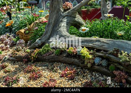 Singapurs Garten an der Marina Bay Stockfoto