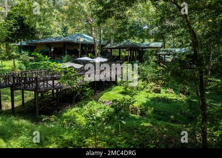 Tablin Wildlife Lodge im Tabin National Park, Borneo Stockfoto