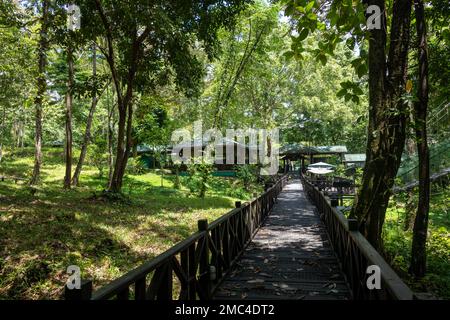 Tablin Wildlife Lodge im Tabin National Park, Borneo Stockfoto