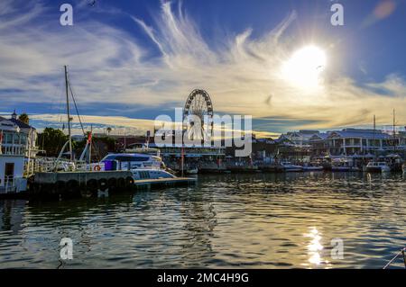 V&A ( Victoria und Alfred ) Hafen am Wasser mit Kap Riesenrad in Kapstadt Südafrika Stockfoto