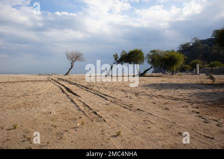 Spuren von den Rädern eines Autos an einem Sandstrand Stockfoto