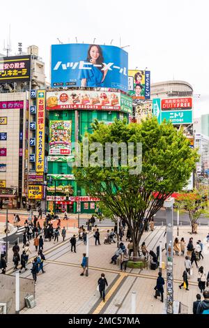 Geschäftiger kleiner Platz mit Baum vor dem berühmten Green Peas Pachinko Salon Gebäude an der Shinjuku Rambling Road in Tokio. Tagsüber, bedeckt. Stockfoto