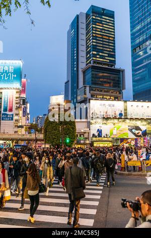 Tokio. Shibuya. Die berühmten jagt Kreuzung, mit Menschen über die Straße vor dem Bahnhof. Blaue Stunde am Abend, Gebäude beleuchtet. Stockfoto