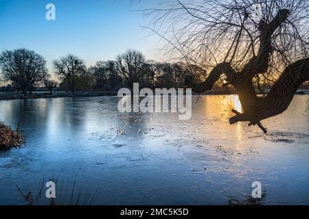 juwelen aus Morgeneis auf einem Teich an einem eiskalten Tag im Januar Stockfoto