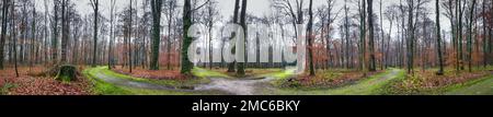 Naturlandschaft, Panorama - Park mit Bäumen und Wegen neben den Palästen Augustusburg und Falkenlust, Stadt Bruhl, Deutschland Stockfoto