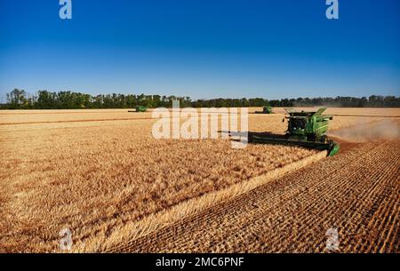 John Deere Erntemaschine arbeitet auf dem Feld. Mähdrescher Für Die Weizenernte. Getreidefeld während der Ernte. Moderne Ausrüstung funktioniert. 07.07.22, Rostow Stockfoto