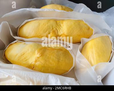 Nahaufnahme goldgelbe Farbe von Durian Fleisch, in weißes Papier eingewickelt, süßer Geschmack, natürliche Form und Form, tropische Früchte der Saison, Obstkönig, Thailändisch Stockfoto