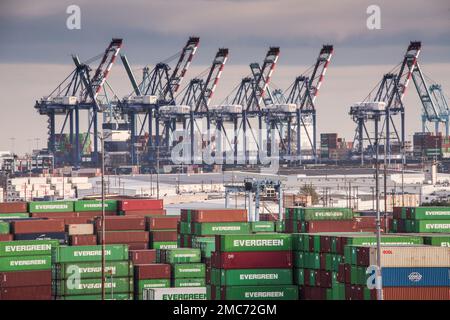 Der Hafen von Los Angeles ist der belebteste Containerhafen in Nordamerika und hat seinen Rang als Nummer eins seit mehr als zwei Jahrzehnten mit Rekordvolumen beibehalten Stockfoto