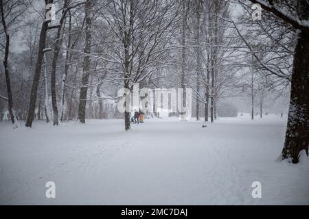 München, Deutschland. 21. Januar 2023. Familien genießen den Tag und gehen am 21. Januar 2023 im Englischen Garten in München Schlittenfahren. (Foto: Alexander Pohl/Sipa USA) Guthaben: SIPA USA/Alamy Live News Stockfoto