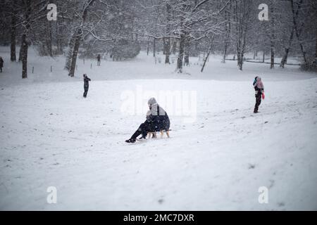 München, Deutschland. 21. Januar 2023. Familien genießen den Tag und gehen am 21. Januar 2023 im Englischen Garten in München Schlittenfahren. (Foto: Alexander Pohl/Sipa USA) Guthaben: SIPA USA/Alamy Live News Stockfoto