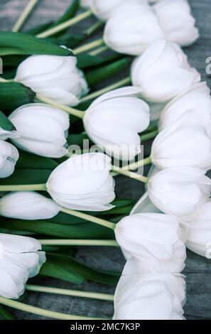 Stillleben weißer Tulpen Stockfoto