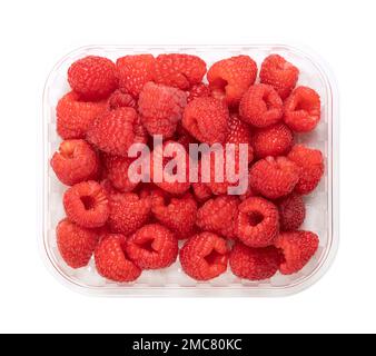 Ganz frische Himbeeren, in einer durchsichtigen Schale aus Kunststoff, von oben. Reife, rote und süße Früchte von Rubus idaeus, der kultivierten europäischen Himbeere. Stockfoto