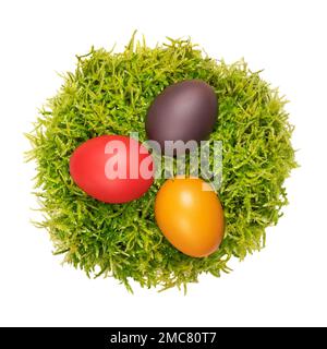 Torfmoos-Osternest mit drei bunten Ostereiern. Bunte, gefärbte Paschaleier in einem weichen Nest aus grünem Torfmoos. Ostereiersuche. Stockfoto