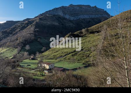 Naturpark Collados del Ason, wo der Fluss wird geboren, Kantabrien, Nordspanien, Europa Stockfoto