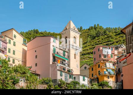 Kirche San Lorenzo (Chiesa di San Lorenzo) im Stadtzentrum von Manarola, Ligurien, Italien Stockfoto