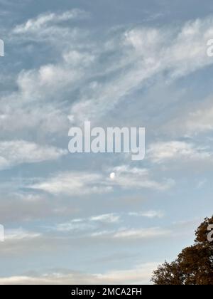 Ein Blick auf den wolkenverhangenen Himmel Stockfoto