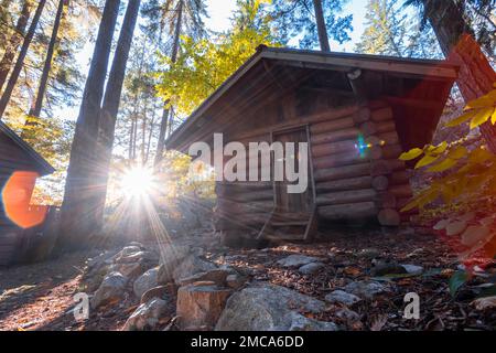 Blockhütte in einem Wald im Herbst im Lighthouse Park. Stockfoto