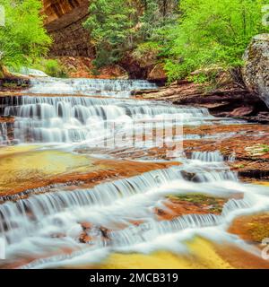 Erzengel-Kaskaden auf linke Gabel North Creek entlang Route zur Subway im Zion Nationalpark, utah Stockfoto