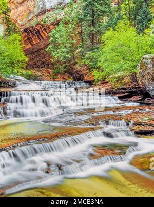 Erzengel-Kaskaden auf linke Gabel North Creek entlang Route zur Subway im Zion Nationalpark, utah Stockfoto