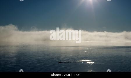 ozean Sonnenuntergang Meer und Himmel Hintergrund. Kleine Wellen auf klarem Wasser verschwimmen in Bewegung mit Bokeh-Lichtern von Sonnenaufgang. Stockfoto