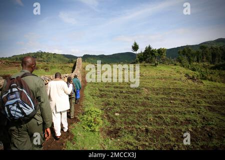 Virunga-Nationalpark Mountain Gorilla Rangers mit Tänzern in Ruanda Stockfoto