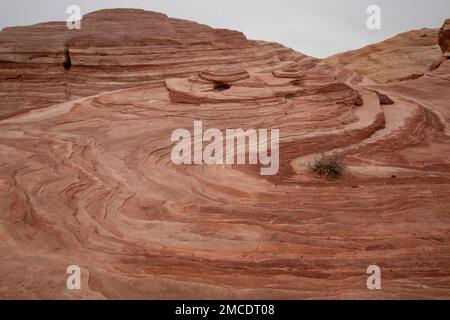 Fire Wave ist eine beliebte geologische Formation im Valley of Fire State Park in der Nähe von Las Vegas, NV, USA. Stockfoto