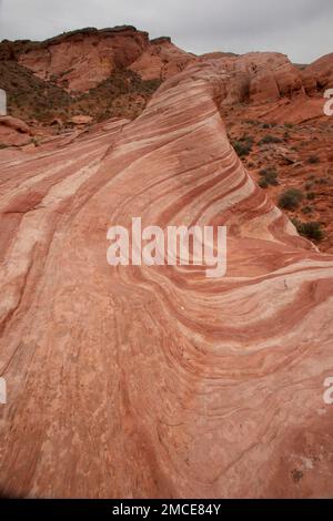 Fire Wave ist eine beliebte geologische Formation im Valley of Fire State Park in der Nähe von Las Vegas, NV, USA. Stockfoto