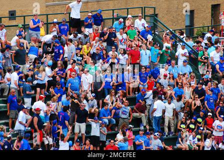 Die Wrigley Field Tribünen sind voller Chicago Cub-Fans für ein Baseballspiel Stockfoto