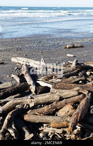 Nach einem Wintersturm mit Ebbe sprangen Bäume an einem Strand in Newport, Oregon. Stockfoto