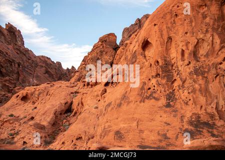 Der Valley of Fire State Park bietet viele fantastische Sandsteinformationen in der Nähe von Las Vegas, NV, USA. Stockfoto