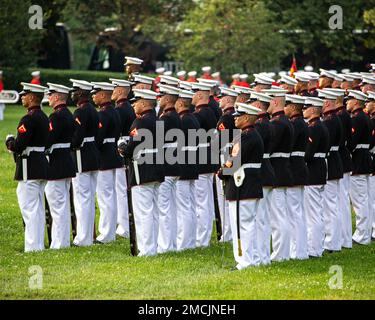 Marines mit Bravo Company stehen während einer Sunset Parade am Marine Corps war Memorial, Arlington, Virginia, am 5. Juli 2022 auf der „Ceremonial at ease“. Gastgeber des Abends war General Mark H. Clingan, stellvertretender Kommandant, Kampfentwicklung und -Integration, und Oberstleutnant Joseph Shusko, United States Marine Corps (Ret.), der Ehrengast. Stockfoto