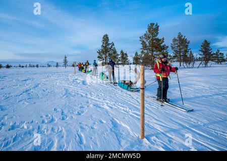 Skitouren in der Nähe der offenen Wildnishütte Pahakuru, Muonio, Lappland, Finnland Stockfoto