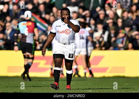 Twickenham, Vereinigtes Königreich. 21. Januar 2023. Das Rugby-Spiel Der Europameisterschaft. Harlequins V-Zellen-C-Haie. Twickenham Stoop. Twickenham. OX Nché (Haie) während der Harlequins V Cell C Sharks Heineken Champions Cup Runde 4 ein Spiel gemeinsam. Kredit: Sport In Pictures/Alamy Live News Stockfoto