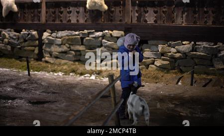 Ein junges Mädchen, das Ziege füttert. Nahaufnahme von Hand und Ziegenkopf. Innsbruck, Österreich. Stockfoto