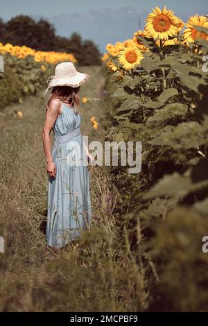 Eine Frau geht auf einem Sonnenblumenfeld spazieren Stockfoto