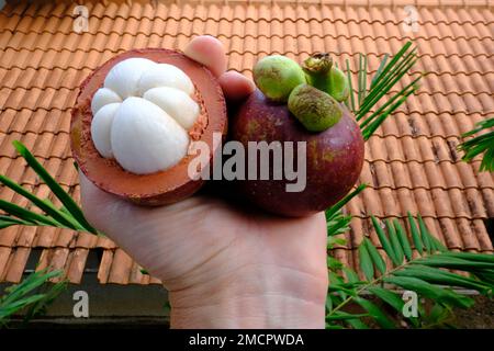 Indonesien Batam - Mangosteen - Garcinia mangostana Stockfoto