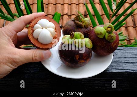 Indonesien Batam - Mangosteen - Garcinia mangostana Stockfoto